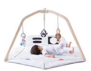 lot 7757 image: Love Every Playtime The Play Gym