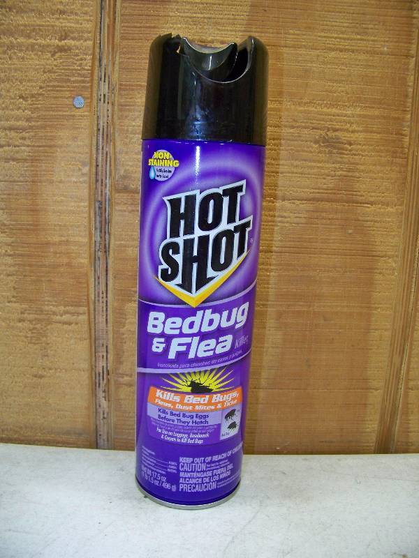 lot 744 image: 10 Cans Hot Shot Bedbug and Flea Killer