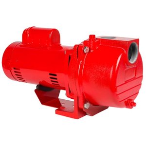 lot 12312 image: $$$ Red Lion Sprinkler Pump, 1 HP