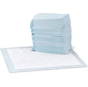 lot 33762 image: Amazon Basics 5-Layer Leak-Proof Dog and Puppy Training Pads with Quick-Dry Surface, Regular (22 x 22) - 150-Pack