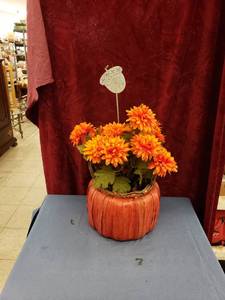 lot 6192 image: Mums in pumpkin