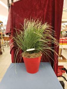 lot 6361 image: red bucket wfake plant