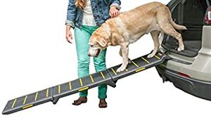 lot 3834 image: Pet GearReflective Tri Fold Pet Vehicle Ramp