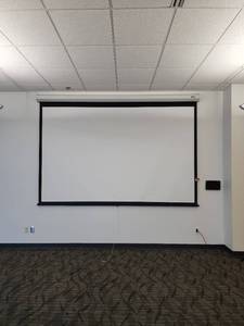 lot 29729 image: Model C DA-Lite Projector Screen