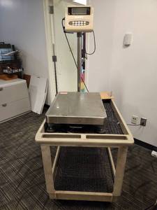 lot 40212 image: LHW-300k 300 x 0.05kg Scale and Cart