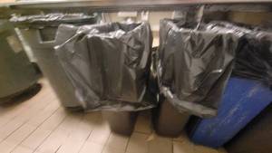 lot 40542 image: 3 Trash Bins