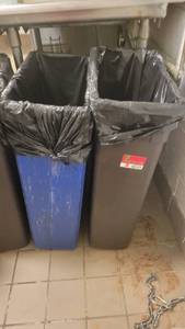 lot 40543 image: 2 Trash Bins