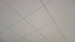 lot 1243 image: Lot of 25 2ft Ceiling Tiles