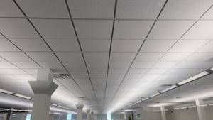 lot 5754 image: Lot of 50 Ceiling Tiles