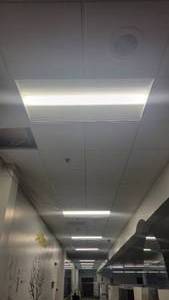 lot 1247 image: 4ft Ceiling Light Fixtures