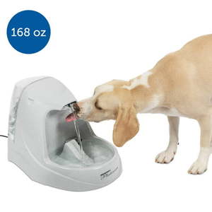 lot 46545 image: PetSafe Drinkwell Platinum Pet Water Fountain for Cats and Dogs