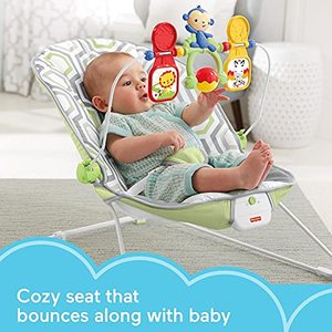 lot 46570 image: Fisher-Price Baby Bouncer, Geo Meadow