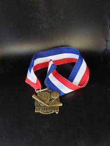 lot 1655 image: 2008 champion softball medal