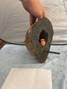 lot 3028 image: tree knot with bird