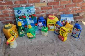lot 5003 image: Lawn and Garden Care - Some New