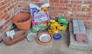 lot 5004 image: Potting Soil - Planters - Stepping Stone