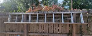 lot 5012 image: Extension Ladder Model 385-20-20