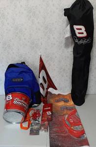 lot 1699 image: Dale JR Memorabilia and Decor