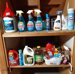 lot 3102 image: Cleaning Supplies
