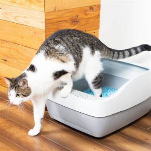 lot 8441 image: PetSafe Deluxe Cat Litter Box with Crystal Litter System �� Starter Kit Includes Litter Scoop, Pee Pad, 1 Month of ScoopFree Premium Crystal Litter (B07H38JKGX)