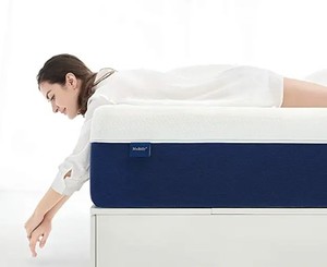 lot 3927 image: Twin Size Mattress