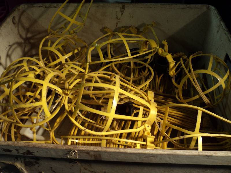 lot 5013 image: Set of hanging lights with (10) outlets and plastic cages