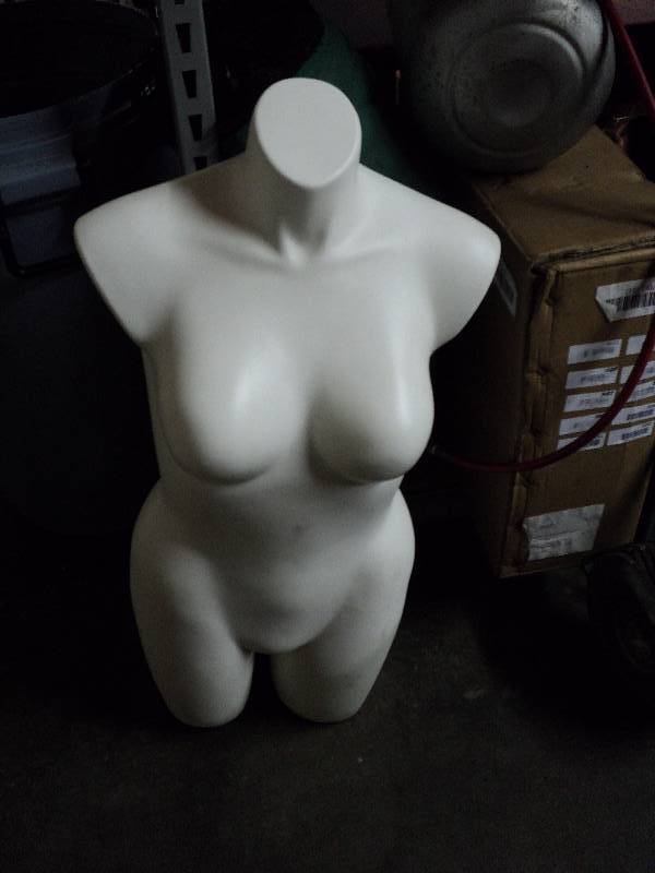 lot 5050 image: RPM Displays, Mannequin Torso