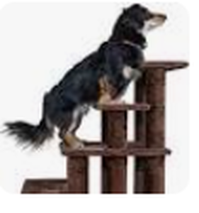 lot 5383 image: Pet Furniture for Dogs and Cats - Steady Paws Easy Multi-Step Dog Stairs for High Beds and Sofas, Cream, 3-Step