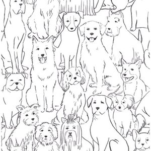 lot 8100 image: Set of 2 NuWallpaper Black & White Paws On Peel and Stick Wallpaper