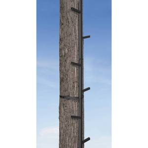 lot 1135 image: Big Game Quick-Stick Climbing System CS050 (B00JG5MMK6)