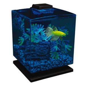 lot 43 image: GloFish Betta Aquarium Kit 1.5 Gallons, Easy Setup and Maintenance, Perfect Starter Tank