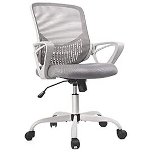 lot 160 image: Smugdesk Ergonomic Mid Back Breathable Mesh Swivel Executive Desk Chair with Adjustable Height and Lumbar Support Armrest for Home or Office, Gray (B09C5Z3S6K)