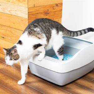 lot 247 image: PetSafe Deluxe Cat Litter Box with Crystal Litter System Starter Kit Includes Litter Scoop, Pee Pad, 1 Month of ScoopFree Premium Crystal Litter (B07H38JKGX)