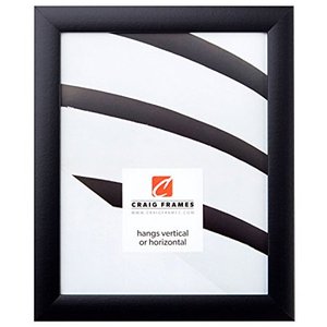 lot 298 image: Craig Frames Contemporary Picture Frame, 11 x 14 Inch, Black