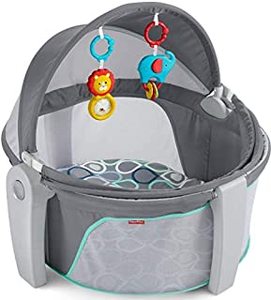 lot 75444 image: Fisher-Price On-the-Go Baby Dome, Grey Bubbles