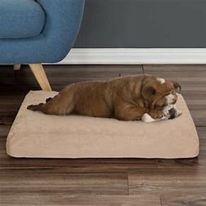 lot 75441 image: Tan Orthopedic Dog Bed