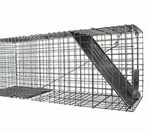 lot 75446 image: Havahart 1079SR Humane Large Animal One-Door Cage for Raccoons, Cats, Groundhogs