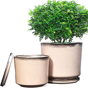 lot 24533 image: FANGZHIDI Plant Pots, Set of 2 Ceramic Gardening Pots Planters with Drainage Holes and Saucers (Apricot, 7.5  5.7)