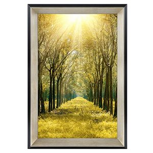 lot 34455 image: Space Art Deco, 11x17 Frame Without Mat PosterArtPicture Frame Shatter-Resistant Glass Sawtooth Hangers Wall Mount Display(11x17, Champagne Silver)