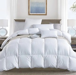 lot 2565 image: Pinzon King Sized Down Comforter