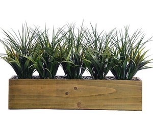 lot 5502 image: Vintage home Tall Grass in Pot 12