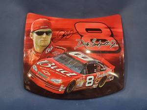lot 14016 image: Autographed Earnhardt Jr Tin Wall Art