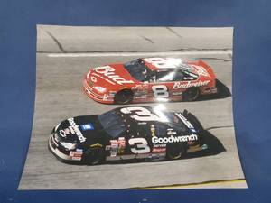lot 14068 image: 8x10 Photo Nascar 3 and 8