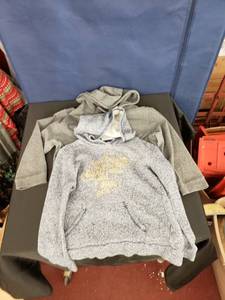 lot 7994 image: pair girls hoodies sz 8XL