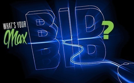 lot 3 image: Maximum Bidding