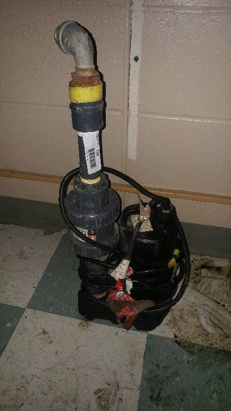 lot 3110 image: Dayton Sump Pump