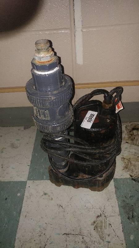 lot 3111 image: Dayton Sump Pump