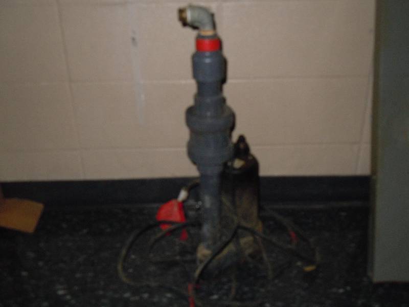 lot 2204 image: Dayton Sump Pump