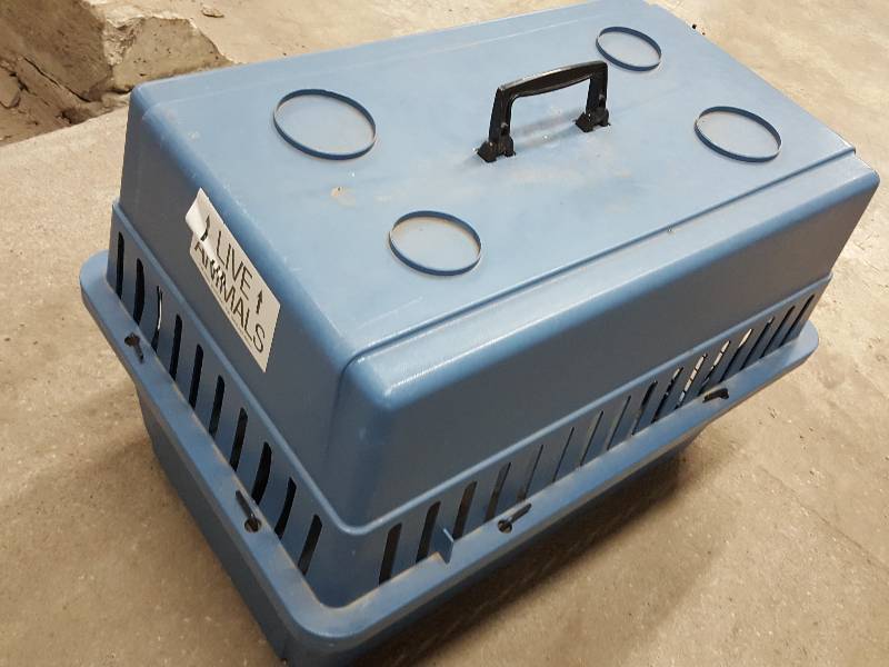 lot 2179 image: Larger Pet Carrier for a medium size critter or animal