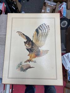 lot 5496 image: large owl picture